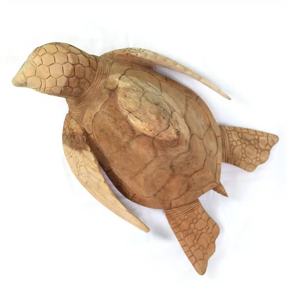 Schildkröte, 50cm