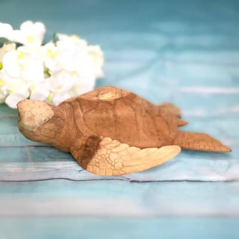 Schildkröte, 50cm