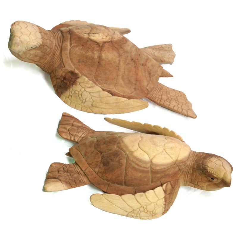 Schildkröte, 50cm