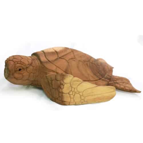 Schildkröte, 40cm