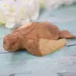 Schildkröte, 40cm
