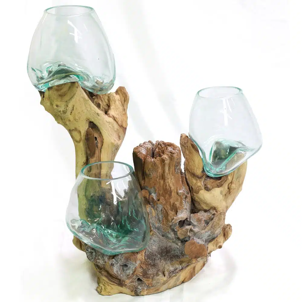 Tiga Bowls: 3 Glasschalen auf Wurzelholz, 60 cm