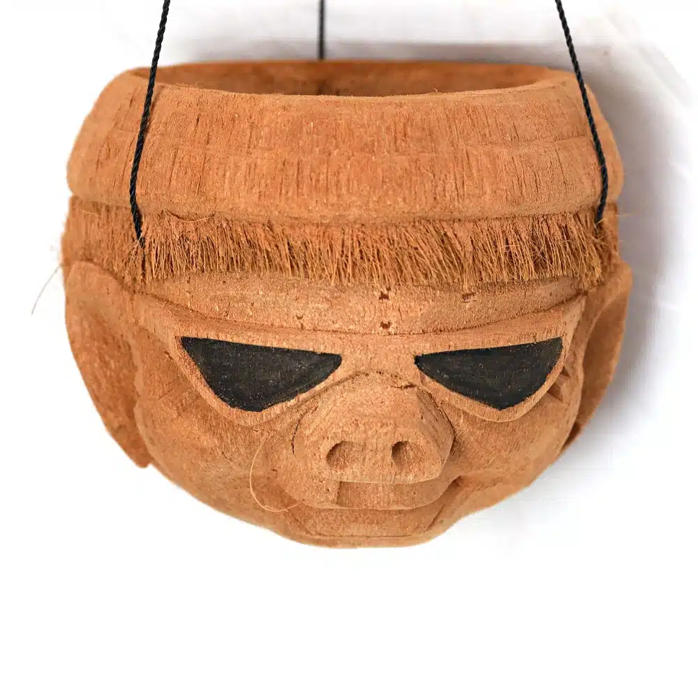 Blumenampeln als Kokosnuss. verschiedene Designs Blumenampeln als Kokosnuss. verschiedene Designs