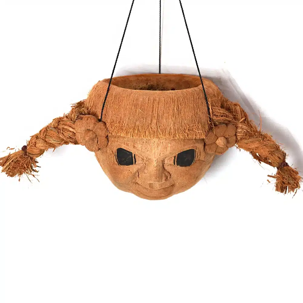 Blumenampeln als Kokosnuss. verschiedene Designs Blumenampeln als Kokosnuss. verschiedene Designs