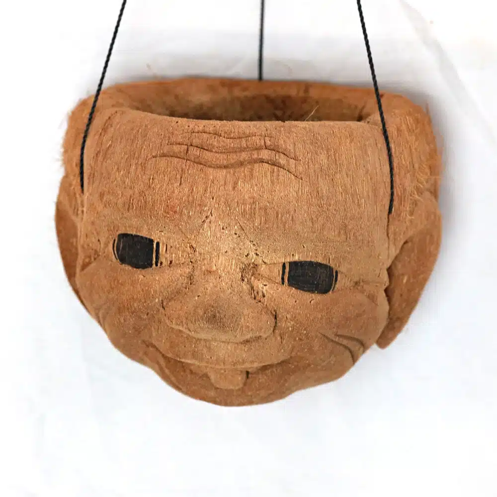 Blumenampeln als Kokosnuss. verschiedene Designs Blumenampeln als Kokosnuss. verschiedene Designs