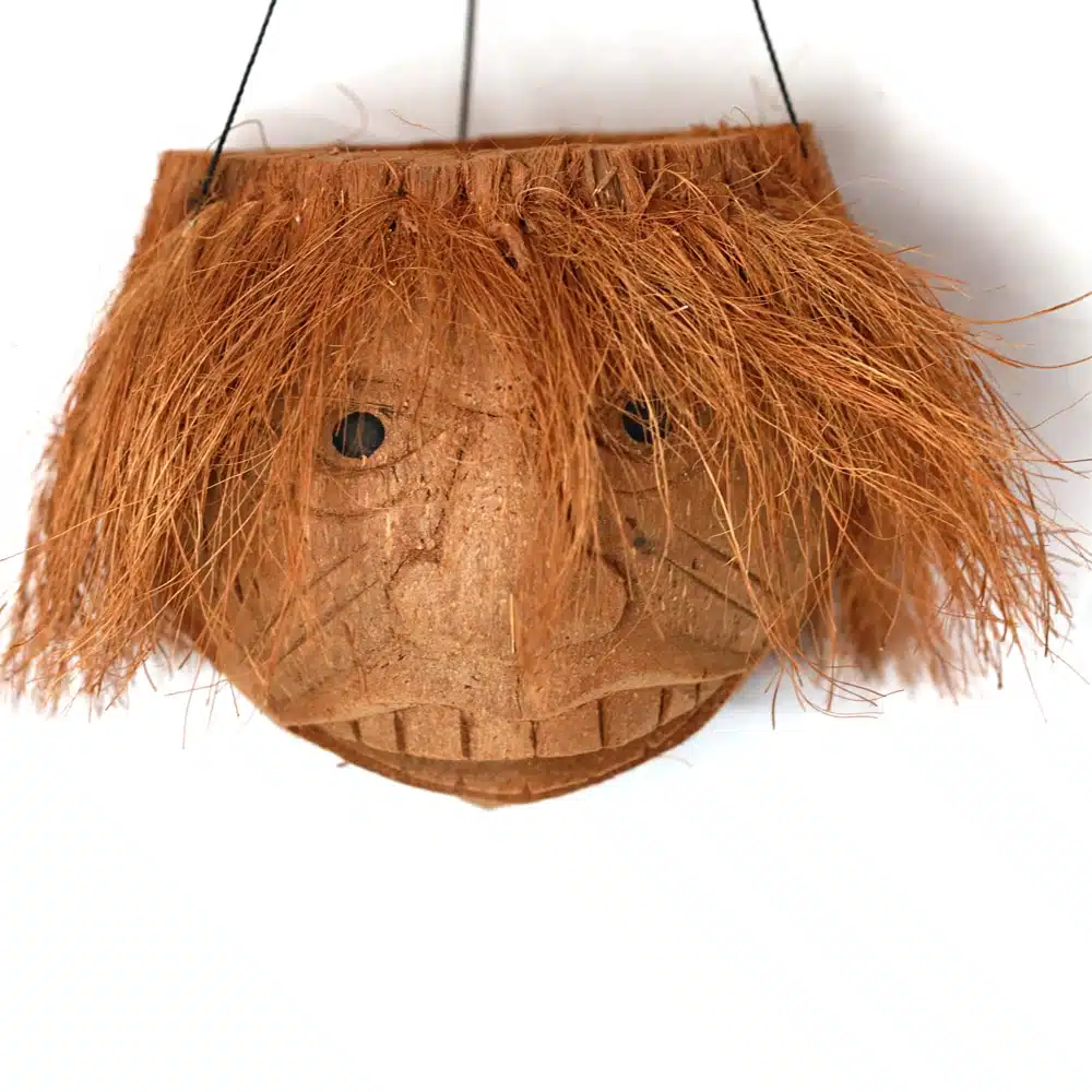 Blumenampeln als Kokosnuss. verschiedene Designs Blumenampeln als Kokosnuss. verschiedene Designs