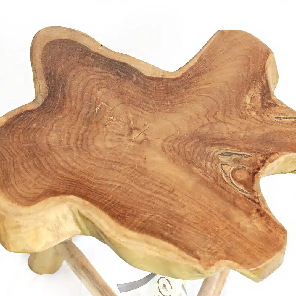 Beistelltisch aus einer Baumscheibe Beistelltisch aus einer Baumscheibe