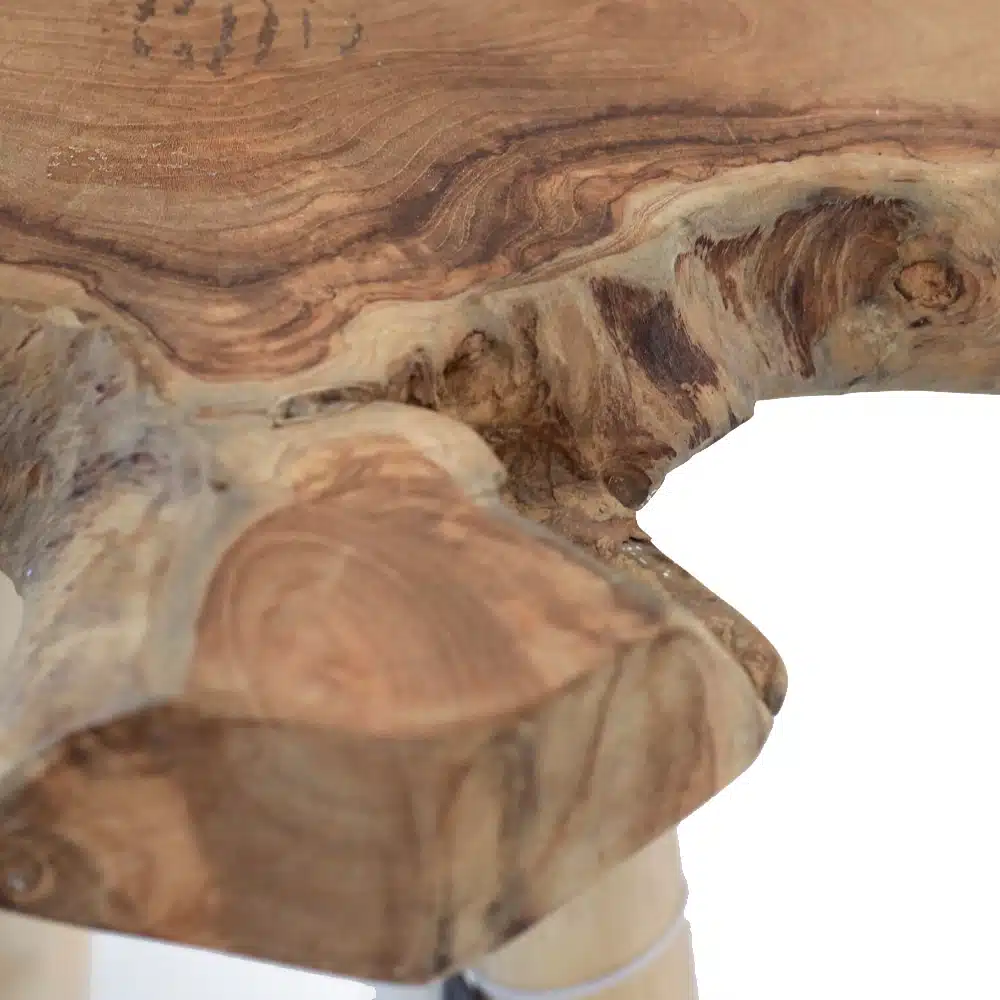 Design Hocker, Baumscheibe Design Hocker, Baumscheibe