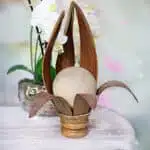 Lampe als geöffnetes Bambusblatt