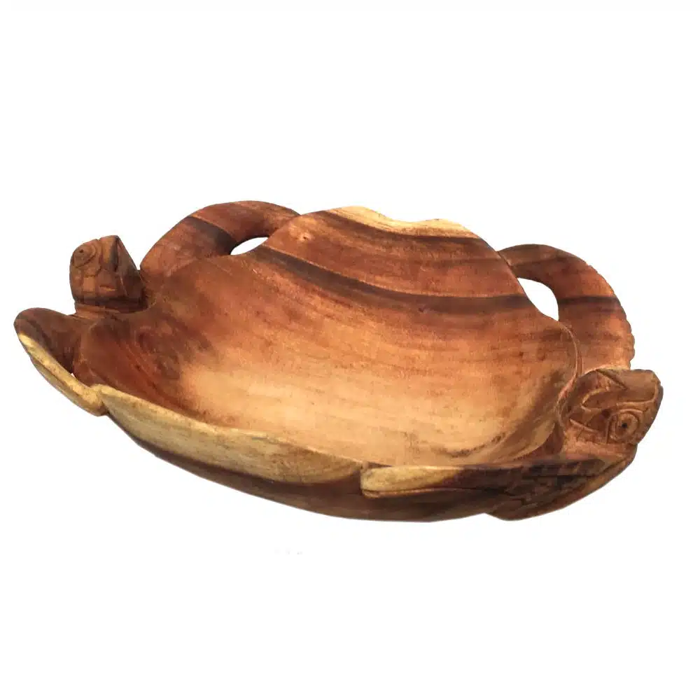 2 Schildkröten bilden eine Schale