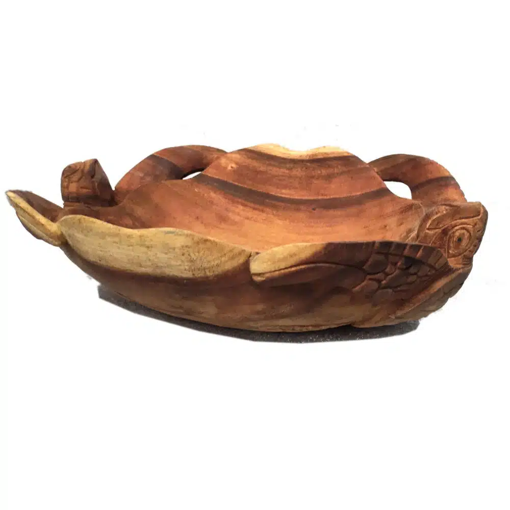 2 Schildkröten bilden eine Schale