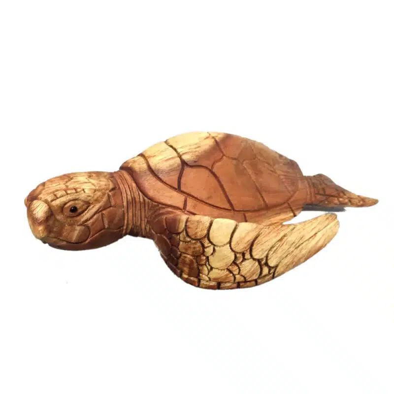 Seeschildkroete, 40cm lang