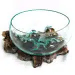 Segar Obstschale: Glasschale auf Wurzelholz