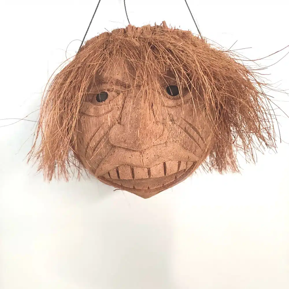 wirrer Typ wirrer Typ