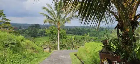 oZdN9sJZ
