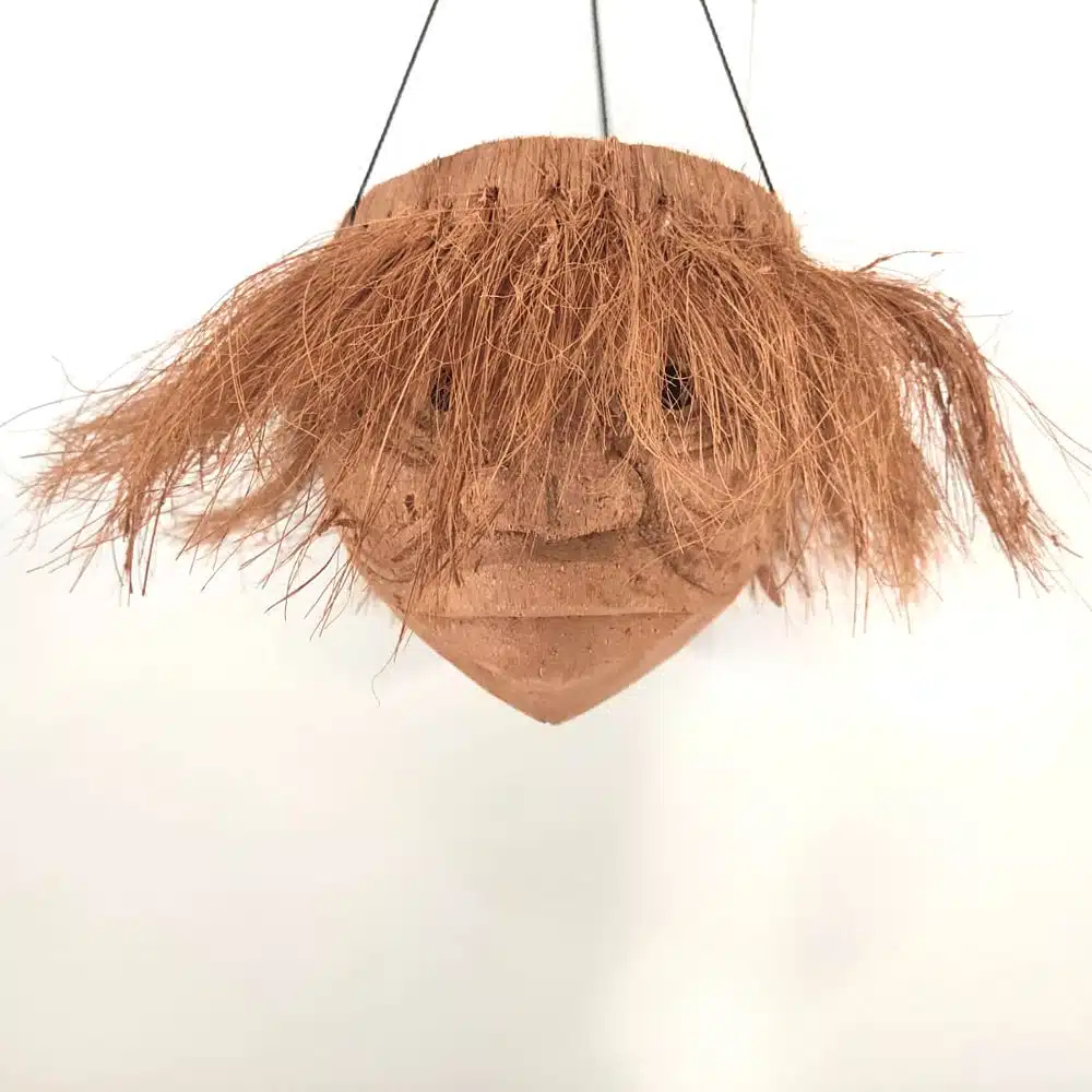 der unfrisierte der unfrisierte