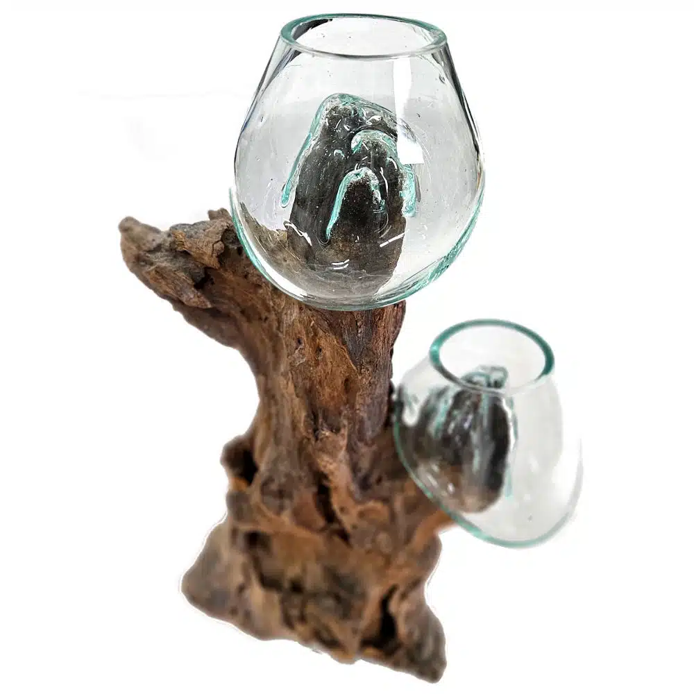 Dua Twin Bowls: 2 Glasschalen auf Wurzelholz, 37 cm