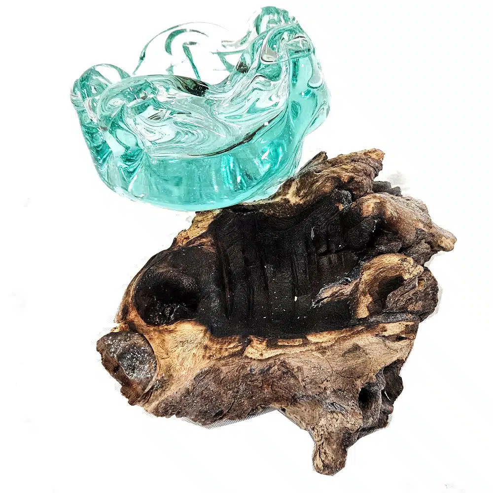 Snackschale auf Wurzel Snackschale auf Wurzel