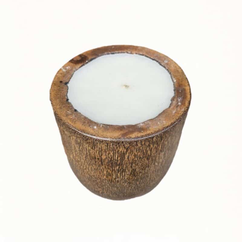 Kerze in einer Palmen Vase
