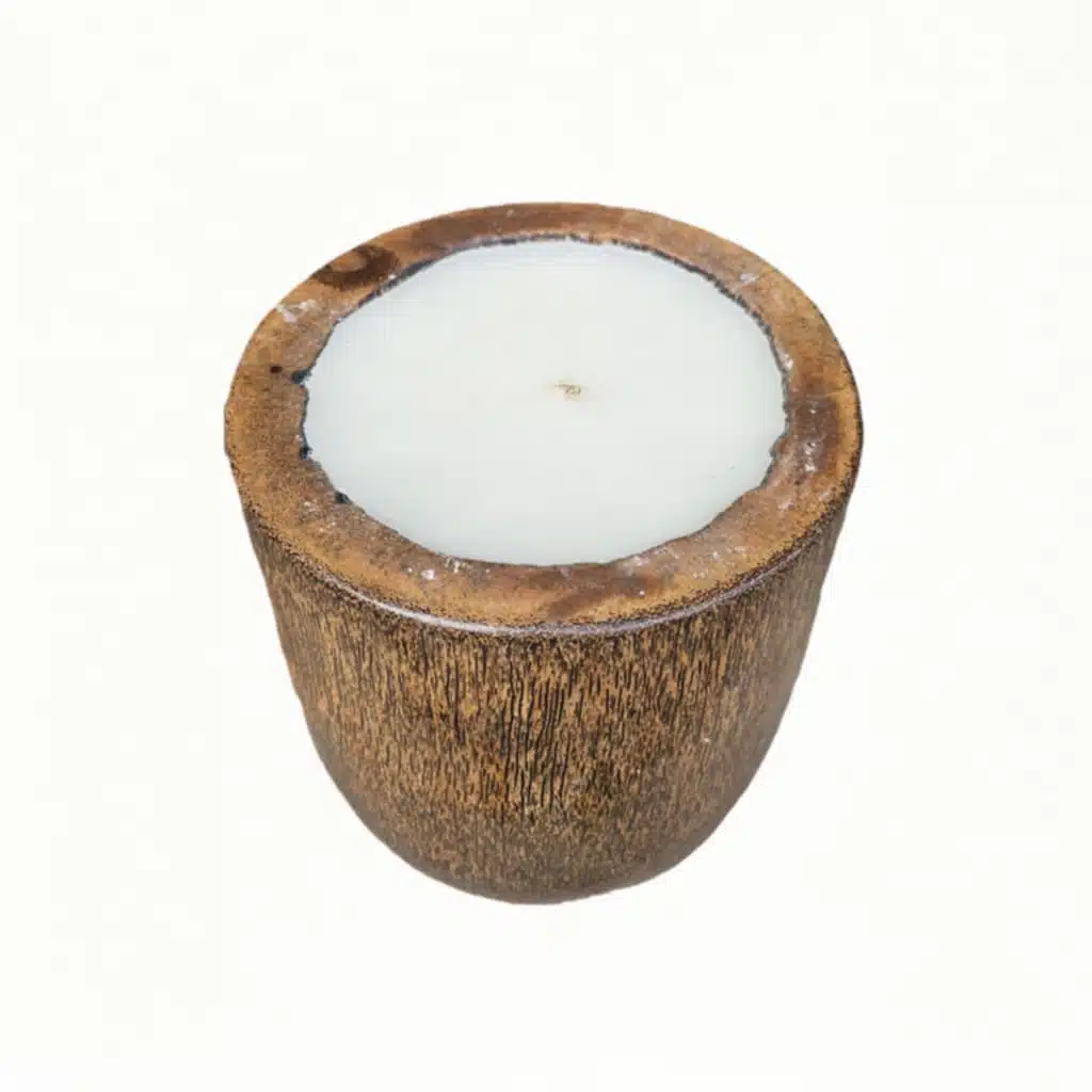 Kerze in einer Palmen Vase