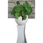 Blumenständer "gebrochenes Ei", 90cm hoch, 40cm Durchmesser