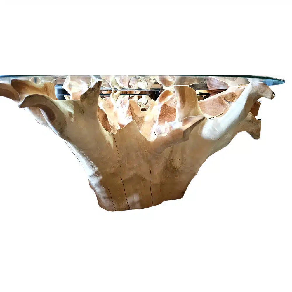 runder Glastisch auf einer Teakwurzel, 100cm Durchmesser, 50cm hoch