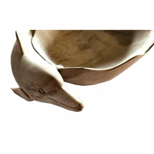 Nussschale getragen von einem Delfin