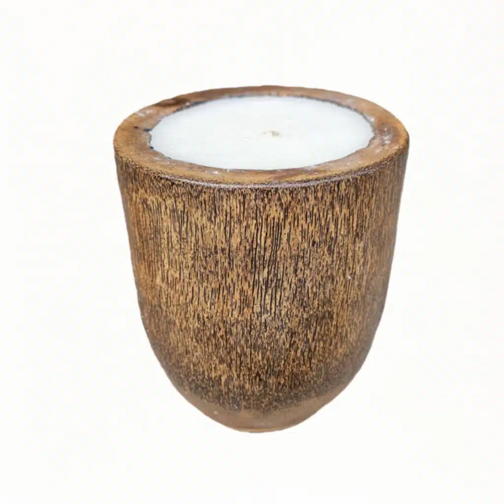 Kerze in einer Palmen Vase