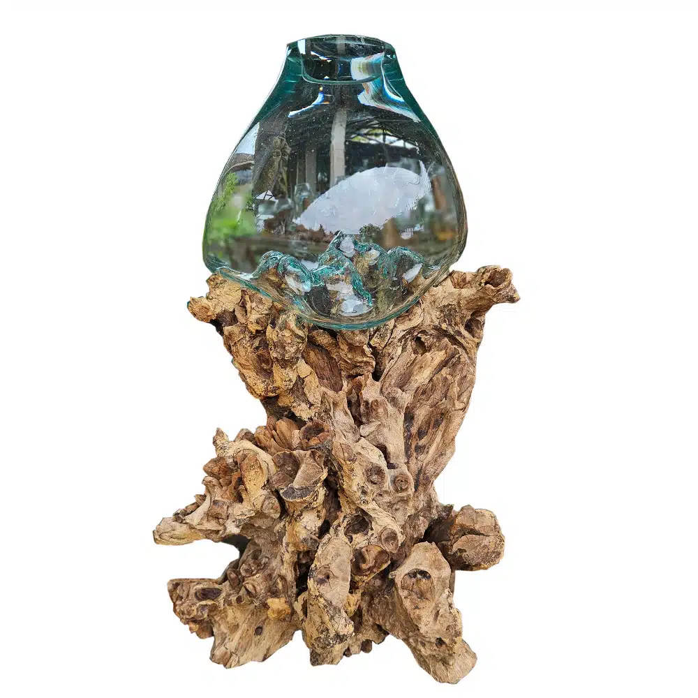 Senyum Glasschale XXL: Handgeschmolzenes Glas auf Naturwurzel, 90 cm