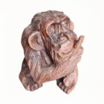 Der unfreundliche Affe
