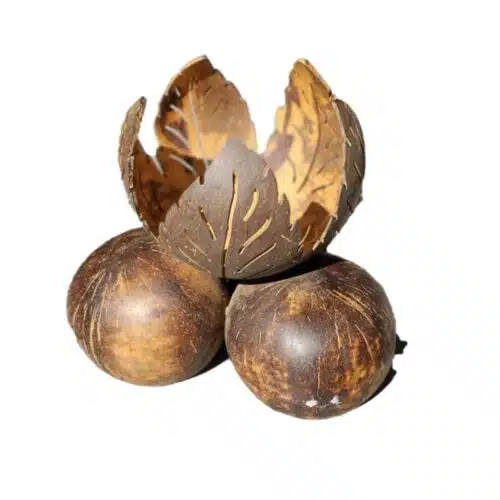 Lilin Kokosnuss Kerzenhalter – Handgeschnitzt aus Kokosnuss