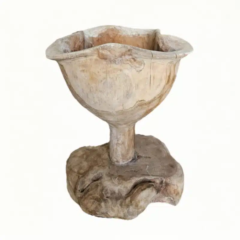 Kembang Blumenkelch aus naturbelassenem Suarholz, 50 cm