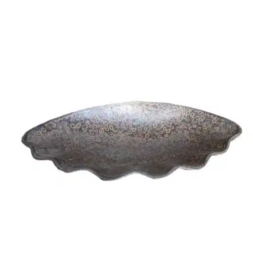 Cempaka Muschelschale mit Zimteinlagen
