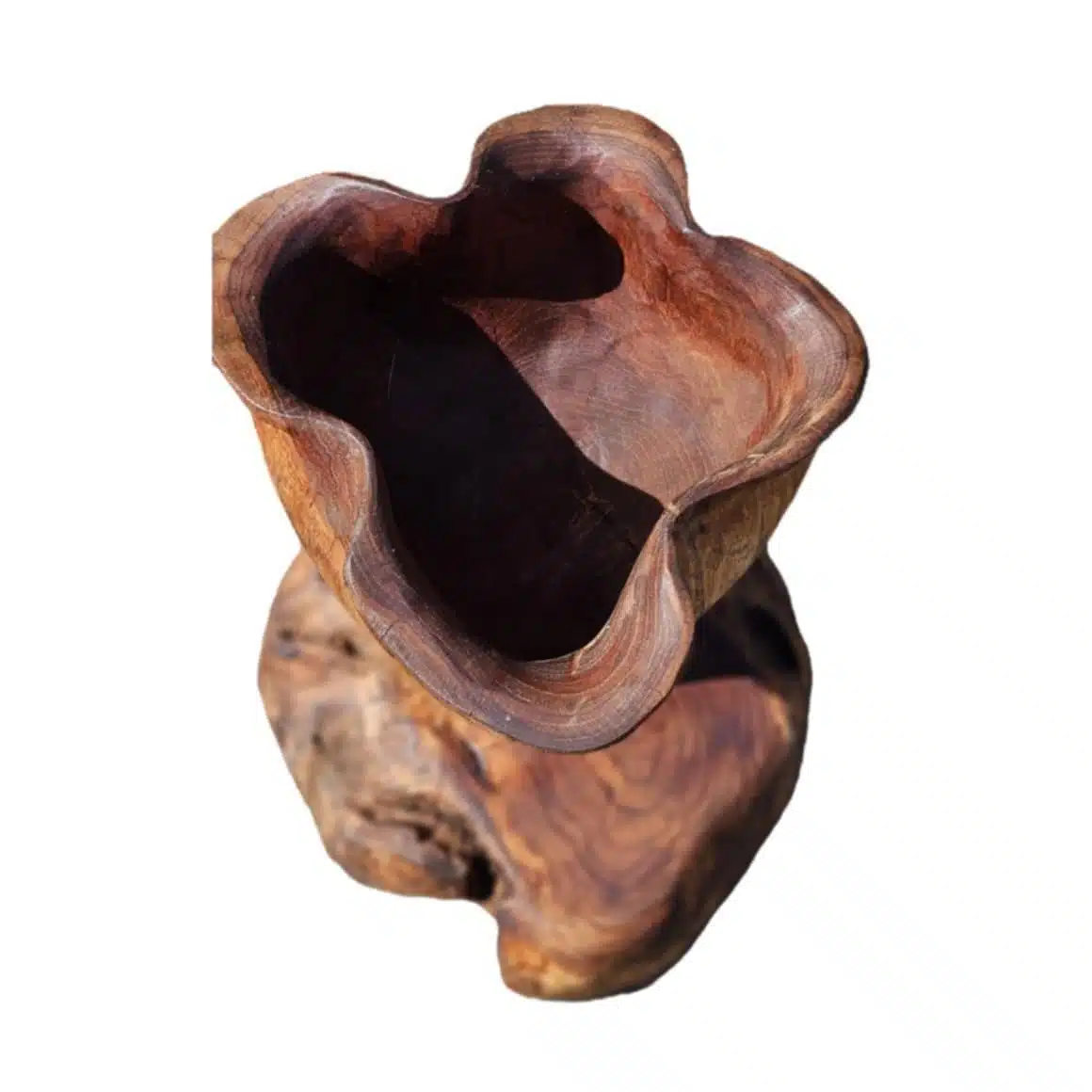 Blumenkelch aus Suar Holz