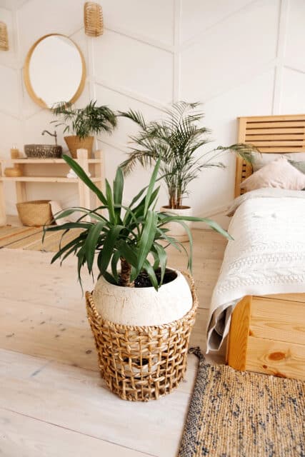 Grünpflanze in Rattanübertopf steht neben einem schlichten Bett mit beiger Tagesdecke, im Hintergrund ein balinesischer Waschtisch mit Deko