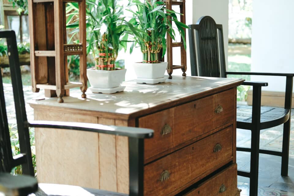 plant pot on wooden cabinet. chair in living room terrace. house home interior