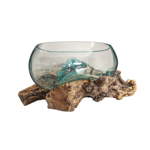 Glas Obstschale auf Wurzel