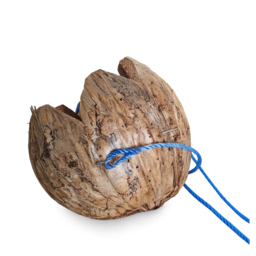 Kokosnuss als Blumenampel