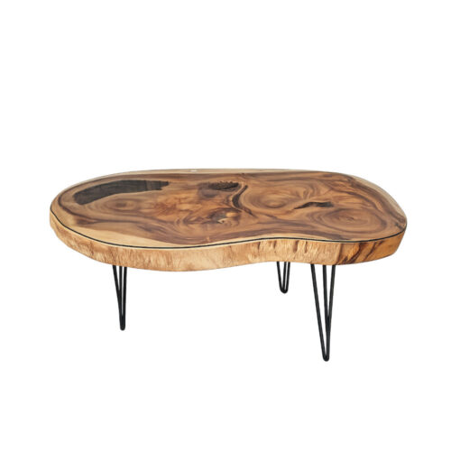 Tisch amoebe Form mit Glasplatte